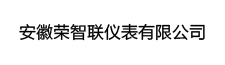 安徽榮智聯(lián)儀表有限公司